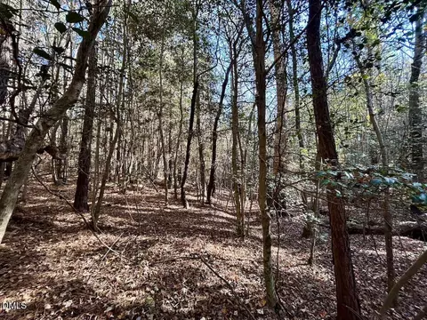 0 Mcdougald Rd, Broadway, NC 27505 photo 22