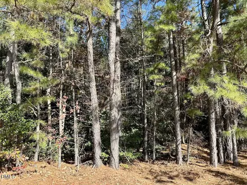 0 Mcdougald Rd, Broadway, NC 27505 photo 17