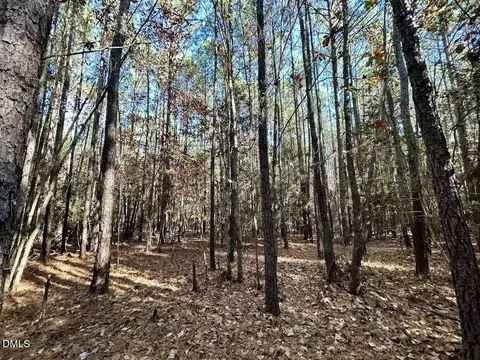 0 Mcdougald Rd, Broadway, NC 27505 photo 19