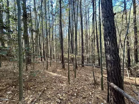 0 Mcdougald Rd, Broadway, NC 27505 photo 24