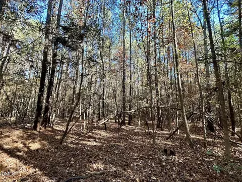 0 Mcdougald Rd, Broadway, NC 27505 photo 20
