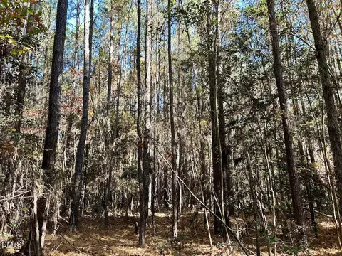 0 Mcdougald Rd, Broadway, NC 27505 photo 18