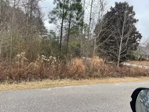 70 Wilson, Bunnlevel, NC 28323 photo 4