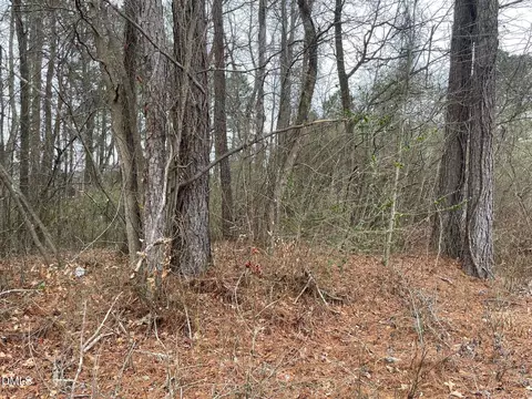 70 Wilson, Bunnlevel, NC 28323 photo 2