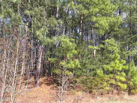 3165 Tump Wilkins Rd, Stem, NC 27581 photo 2