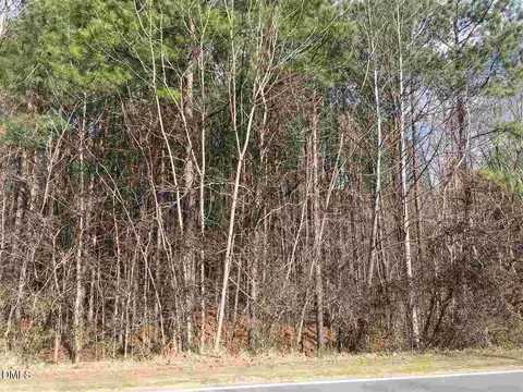 3165 Tump Wilkins Rd, Stem, NC 27581 photo 5