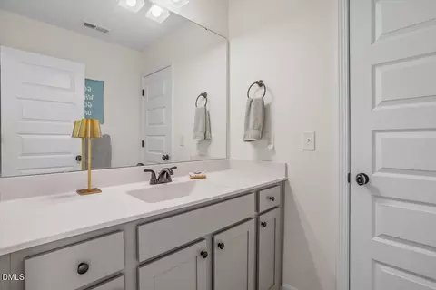 Bath - 68 Bodacious Ln, Benson, NC 27504 photo 5 of 5