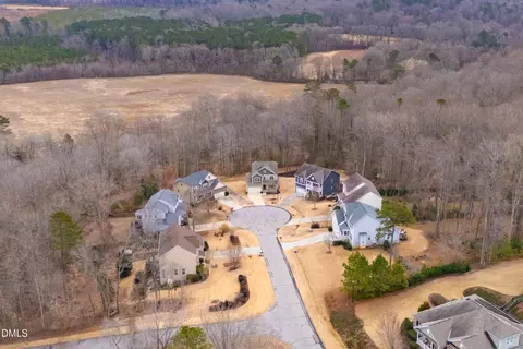 View/Area - 6401 Blalock Forest Dr, Willow Spring, NC 27592 photo 6 of 6