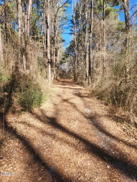 174 Solomon Worley Dr, Moncure, NC 27559