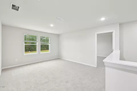 85 Thistle Patch Pl, Angier, NC 27501 photo 20