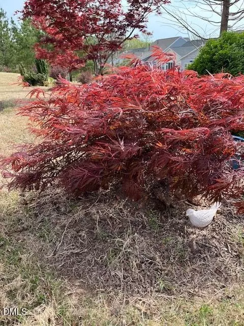 Other - 1208 Farm Leaf Dr, Durham, NC 27703 photo 15 of 15