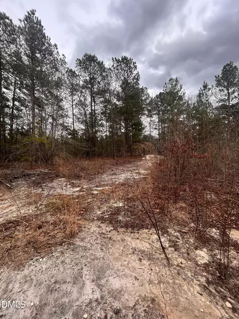 198 Old County Line Rd, Cameron, NC 28326 photo 4