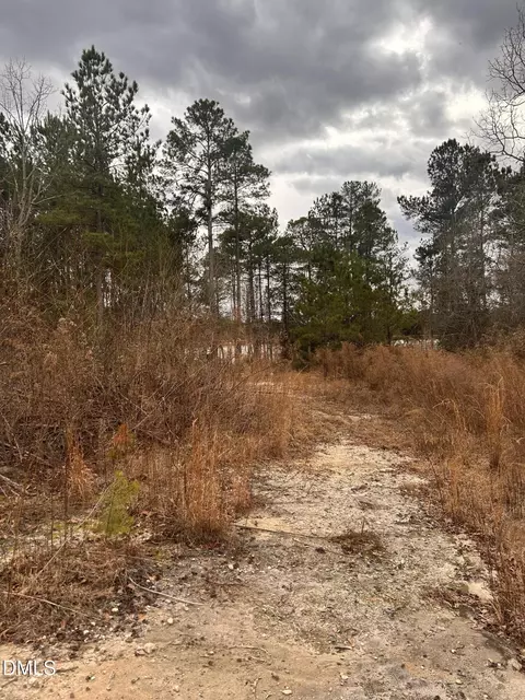 198 Old County Line Rd, Cameron, NC 28326 photo 3