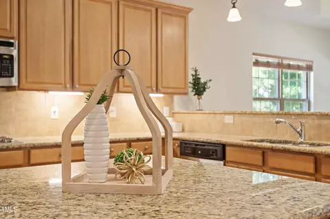 46 Spring Haven Ln, Willow Spring, NC 27592 photo 20