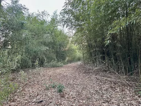 0 Fields Dr, Raleigh, NC 27603 photo 9
