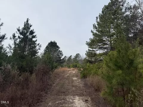 0 Murphy Rd, Youngsville, NC 27596
