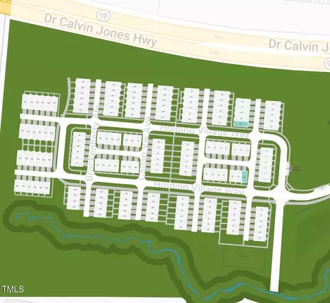 View/Area - 809 Callan View Ave, Wake Forest, NC 27587 photo 1 of 5