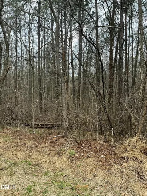 93 Lot Haynoke Dr, Graham, NC 27253