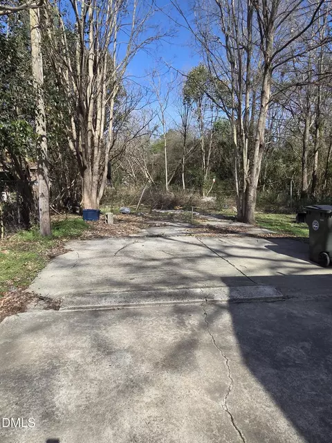 Other - 207 E Maple St, Mount Olive, NC 28365 photo 6 of 6