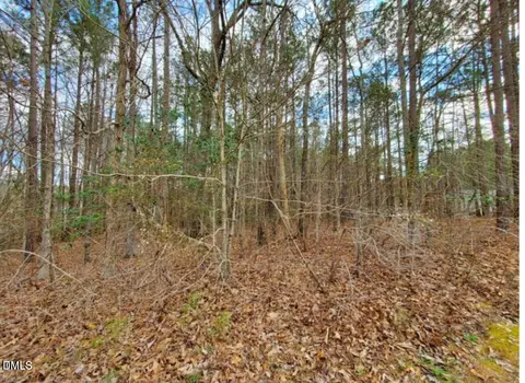 195 Owl Dr, Youngsville, NC 27596