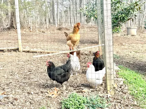 Other - 242 Lewis Winstead Loop Rd, Roxboro, NC 27574 photo 6 of 7