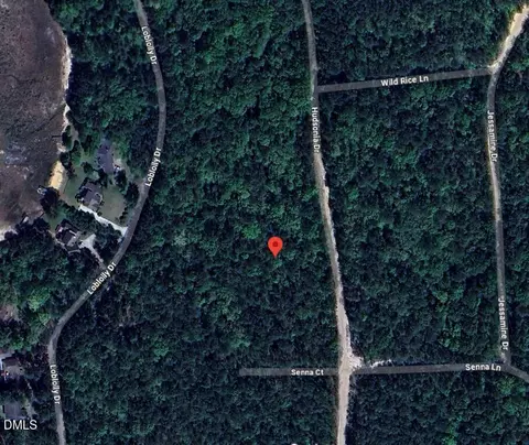 862 Hudsonia Dr, Vass, NC 28394