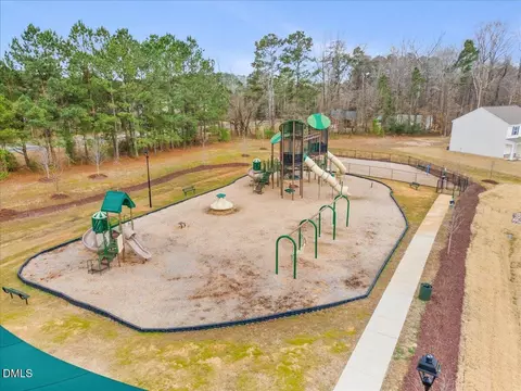 View/Area - 237 Chedworth Dr, Angier, NC 27501 photo 4 of 9