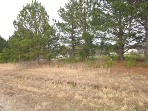 lot2 Johnson Town Rd, Zebulon, NC 27597