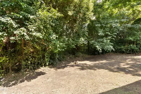 113 Herbert St, Durham, NC 27703 photo 25