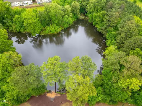 View/Area - 9830 Precious Stone Dr, Wake Forest, NC 27587 photo 5 of 12