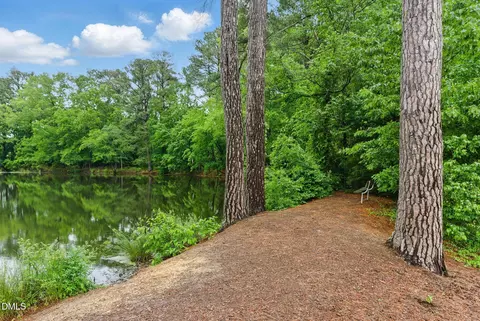 Other - 9830 Precious Stone Dr, Wake Forest, NC 27587 photo 18 of 19