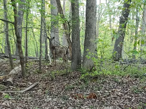 lot2 Deer Run Trl, Hillsborough, NC 27278