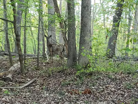 lot2 Deer Run Trl, Hillsborough, NC 27278
