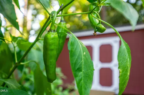 Other - 2116 Pershing St, Durham, NC 27705 photo 11 of 12