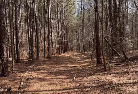 0 Loop Rd, Bunnlevel, NC 28323 photo 8