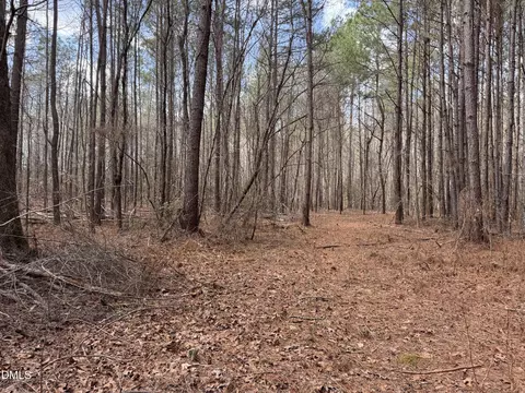 0 Loop Rd, Bunnlevel, NC 28323 photo 6