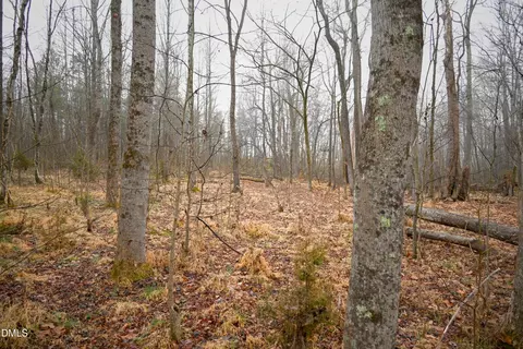 tbd Dirgie Mine Rd, Roxboro, NC 27574 photo 9