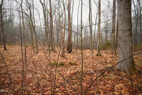 tbd Dirgie Mine Rd, Roxboro, NC 27574 photo 8