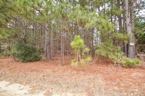 3 Bob Lee Lane, Dunn, NC 28334 photo 21