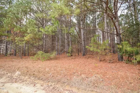 3 Bob Lee Lane, Dunn, NC 28334 photo 20