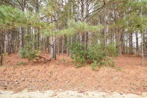 3 Bob Lee Lane, Dunn, NC 28334 photo 19