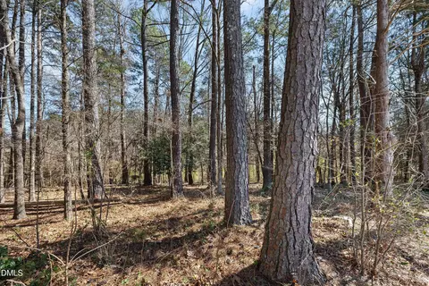 337 Simwood Ave, Wake Forest, NC 27587 photo 28