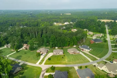 View/Area - 328 Bryerstone Dr, Willow Spring, NC 27592 photo 4 of 5