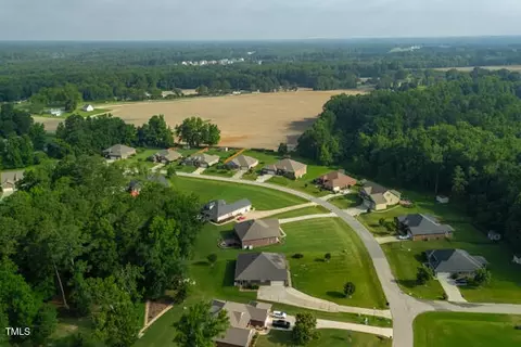 View/Area - 328 Bryerstone Dr, Willow Spring, NC 27592 photo 5 of 5