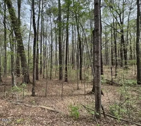0 Lot 336 Forest Hills Dr, Littleton, NC 27850