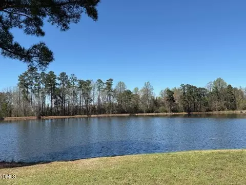 View/Area - 202 Mabry Rd, Angier, NC 27501 photo 10 of 10