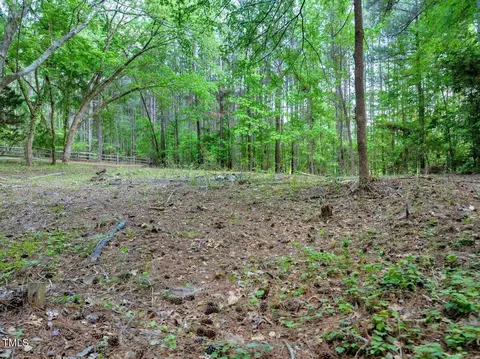 1 95 Acres Buchanan Rd, Manson, NC 27553 photo 11