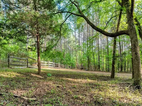 1 95 Acres Buchanan Rd, Manson, NC 27553 photo 10
