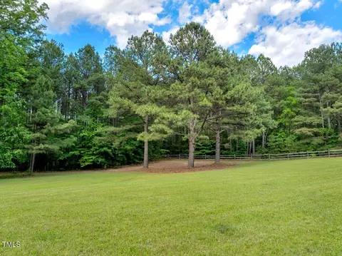 1 95 Acres Buchanan Rd, Manson, NC 27553 photo 8