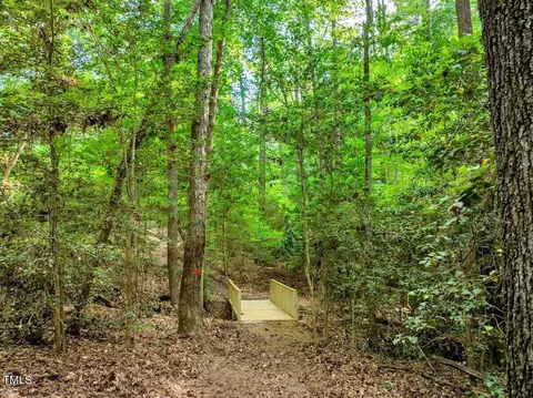 1 95 Acres Buchanan Rd, Manson, NC 27553 photo 13